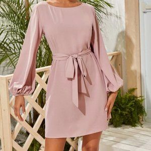 SOLD - NWOT Blush Pink Lantern Sleeve Tunic Dress